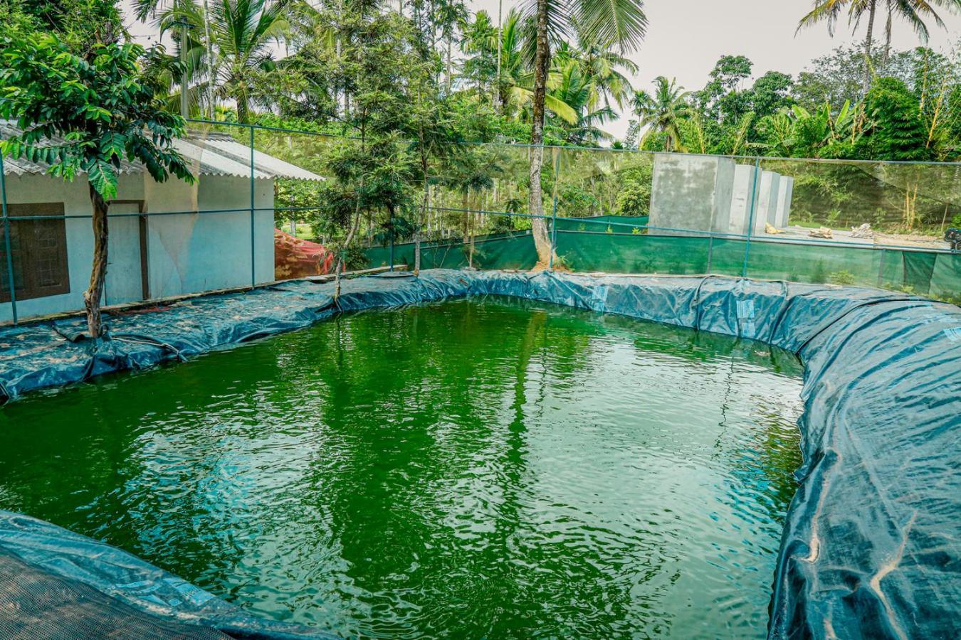 Green Auro By Bob Hotels Wayanad Exterior foto